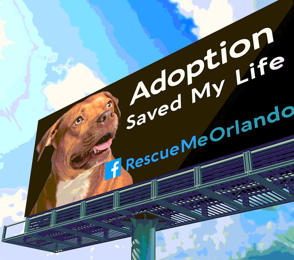 billboard-adoption-saved-my-life