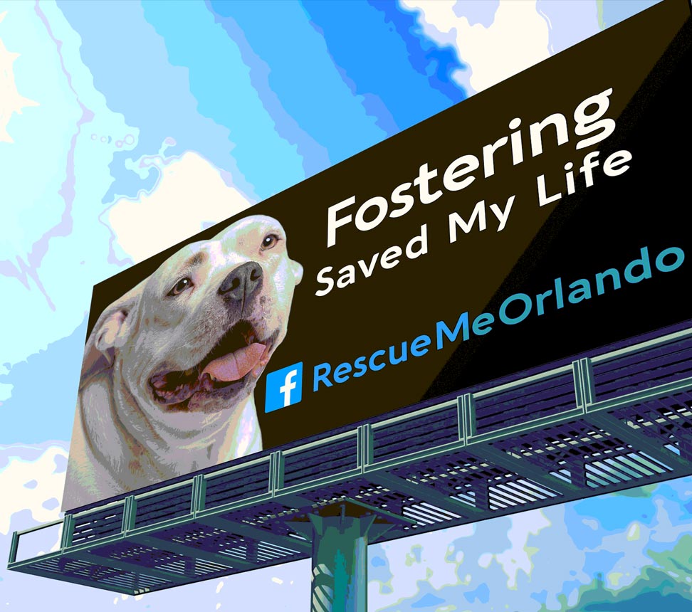 billboard-fostering-saved-my-life
