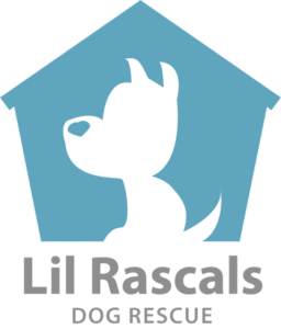 logo-lil-rascals