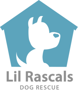 logo-lil-rascals